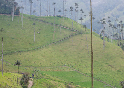 Kolumbien14